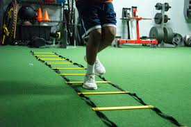Training Agility Ladder